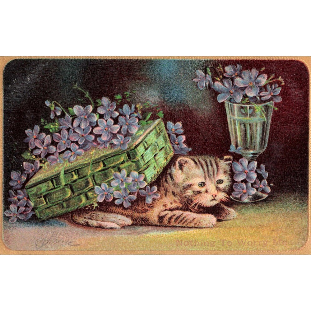 Vintage Postcard Tabby Kitten Under Flower Basket Nothing To Worry Me 663 VG - Picture 1 of 2